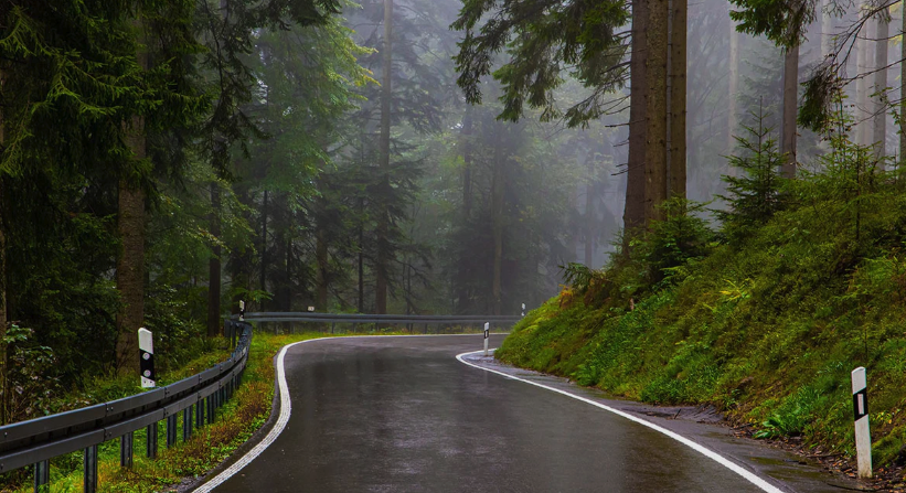 Dag 3 Baden-Baden til Bodensee photo 1